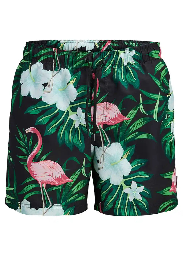 26026258