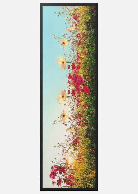 24083556