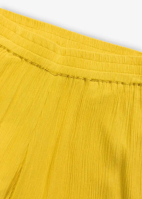 25041616