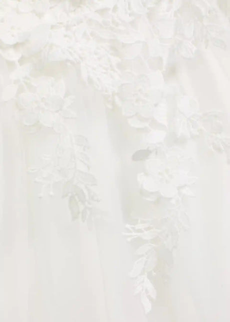 25046091