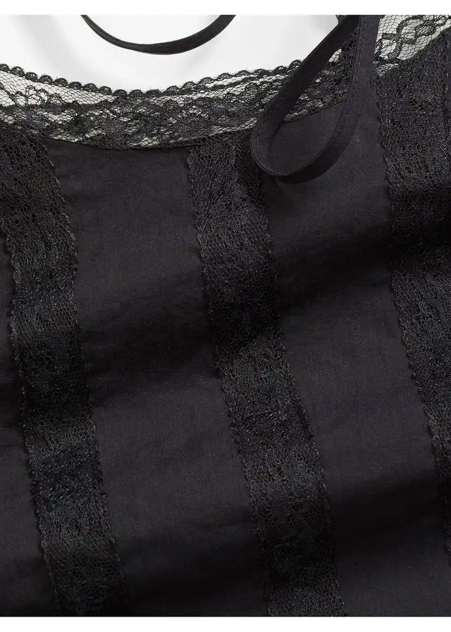 25053058