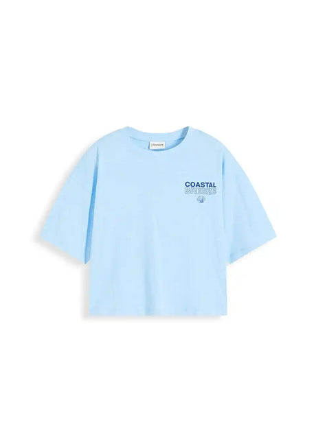 25065503