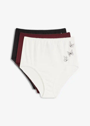 25096909
