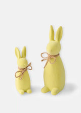 25184978