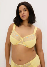 26011685