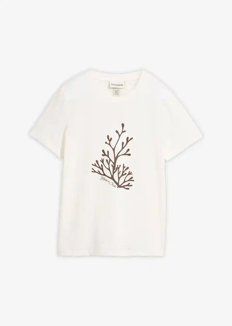 26046024