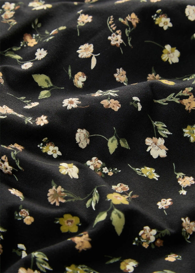 26077937
