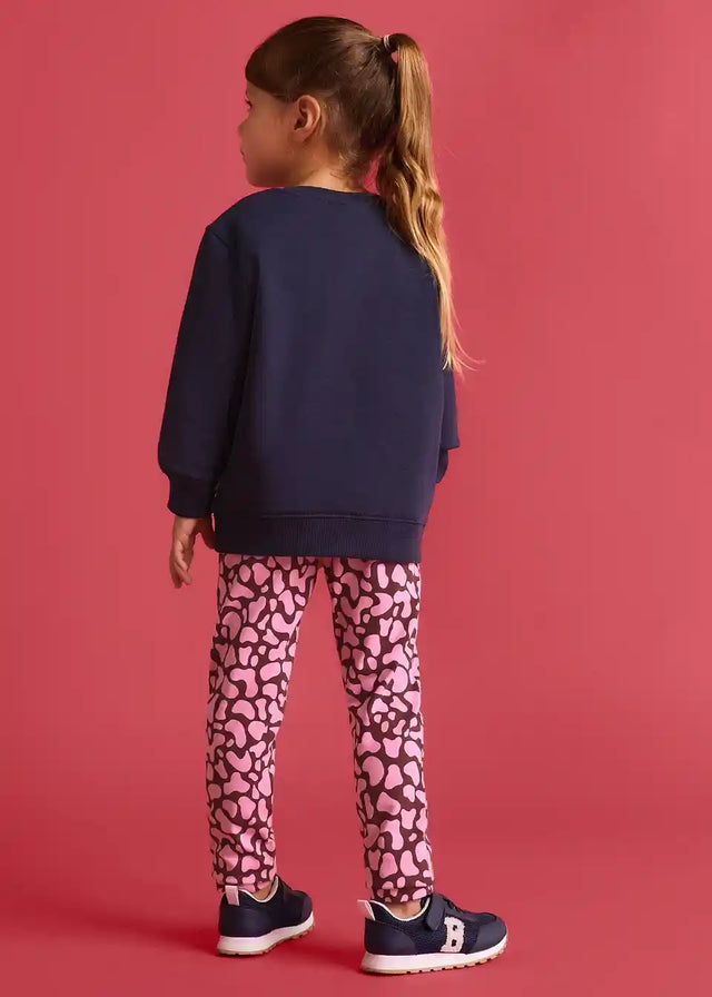 26095766