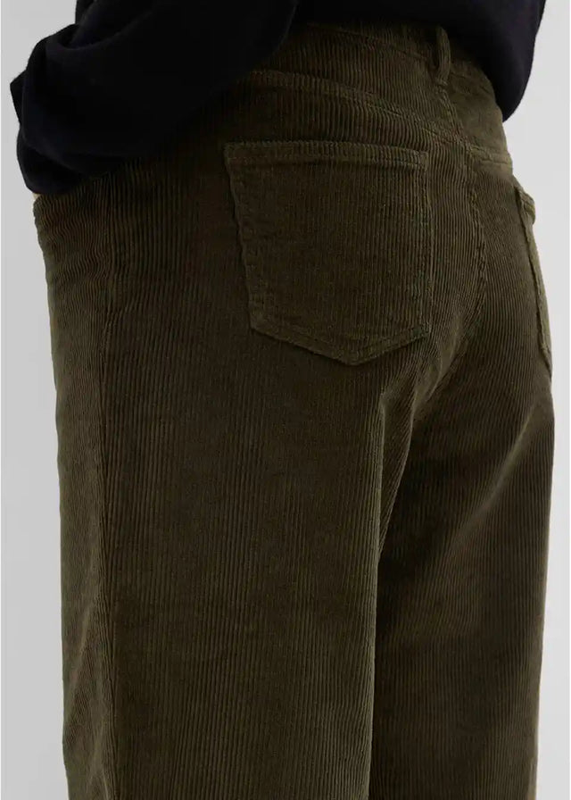 26099028