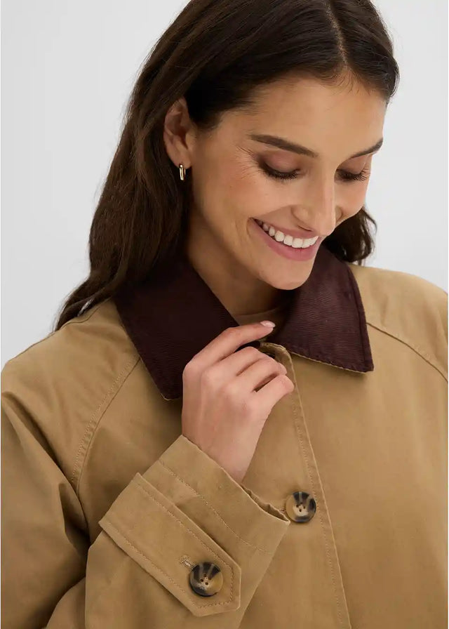 26119816
