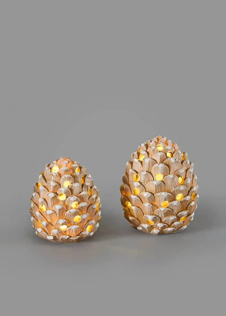 26136197